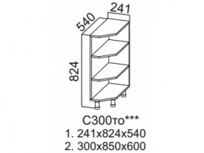 С300то Стол-рабочий 300 (торцевой открытый) в Губахе - gubaha.magazin-mebel74.ru | фото