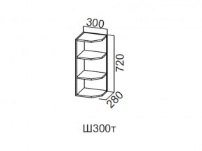 Ш300т/720 Шкаф навесной 300/720 (торцевой) в Губахе - gubaha.magazin-mebel74.ru | фото