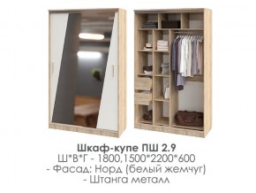 шкаф-купе ПШ-2.9 1500 Норд Белый жемчуг 1500 в Губахе - gubaha.magazin-mebel74.ru | фото