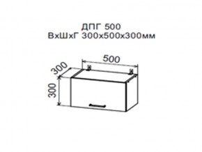 Шкаф верхний ДПГ500 горизонтальный в Губахе - gubaha.magazin-mebel74.ru | фото