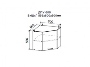 Шкаф верхний ДПУ600 угловой в Губахе - gubaha.magazin-mebel74.ru | фото